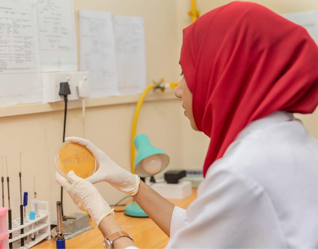 Lab service 1